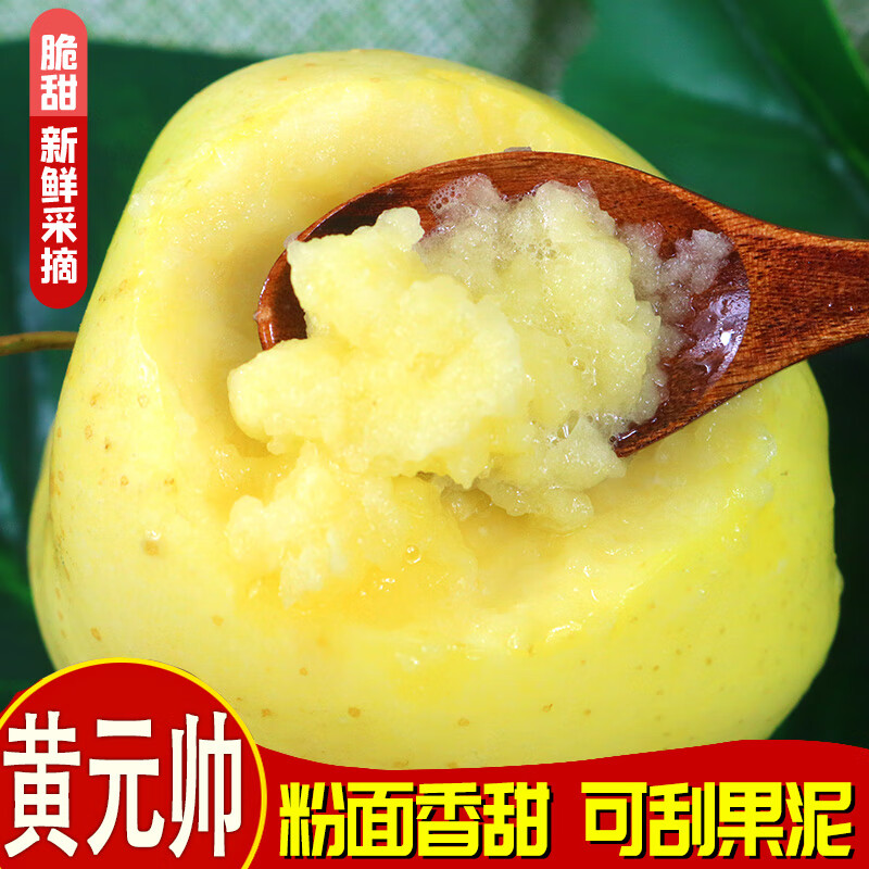 黄元帅苹果先脆后粉刮泥香蕉粉面苹果甜当季新鲜整箱黄金帅非顺丰