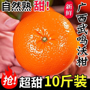 正宗广西武鸣沃柑新鲜桔子水果精选皇帝沃柑有籽无籽随机薄皮柑橘