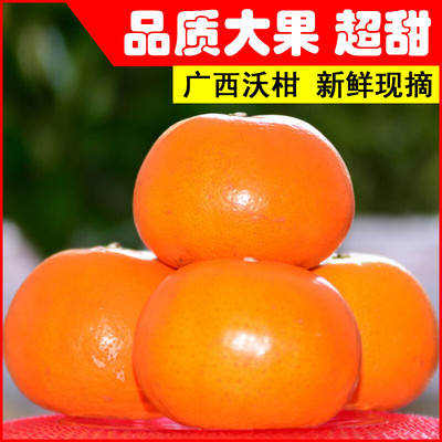 正宗武鸣沃柑新鲜大果沃柑有籽无籽广西沃柑应季橘子水果薄皮柑橘