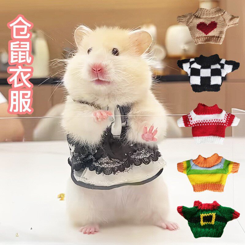 宠物小衣服迷你仓鼠金丝熊荷兰猪猫宠物服装/雨衣（新