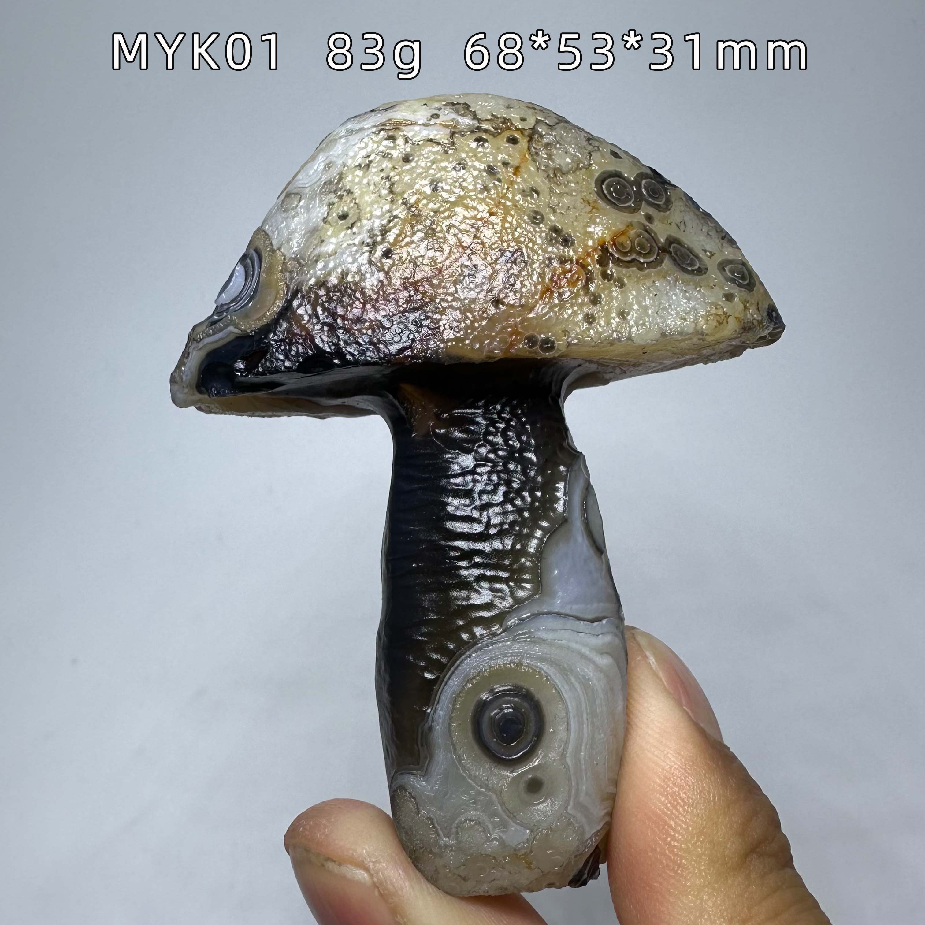 天然阿拉善戈壁黑咖色花眼玛瑙蘑菇手把雕刻件原石外蒙古奇石摆件
