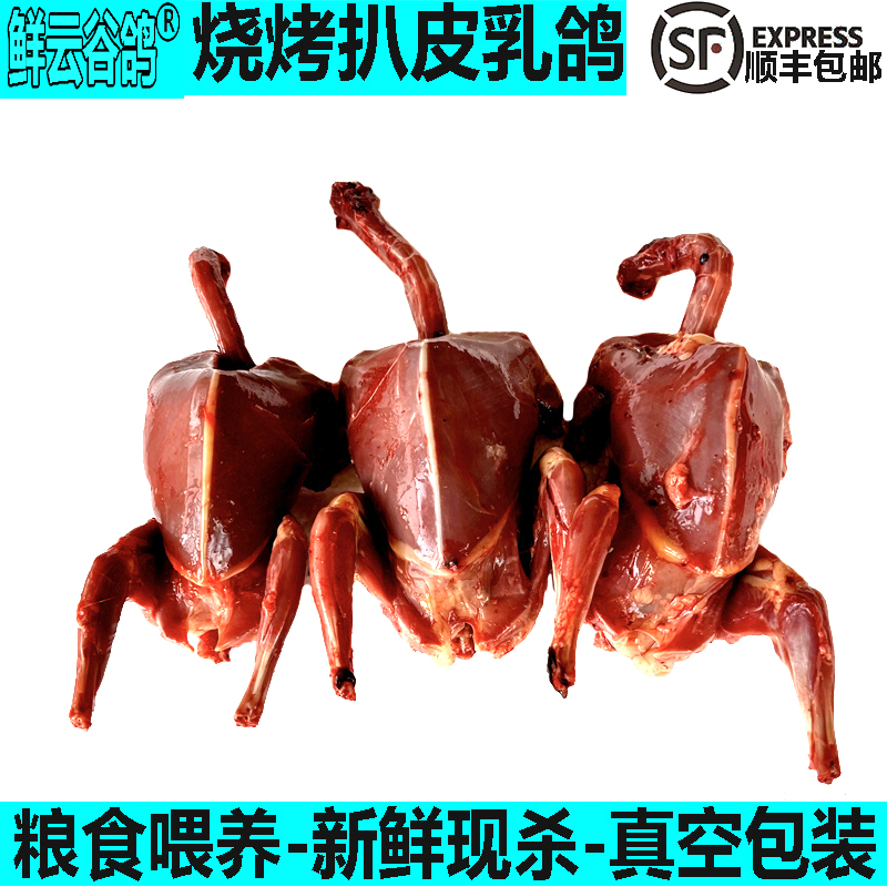 炭烤乳鸽鸽子肉批发商用粮食喂养