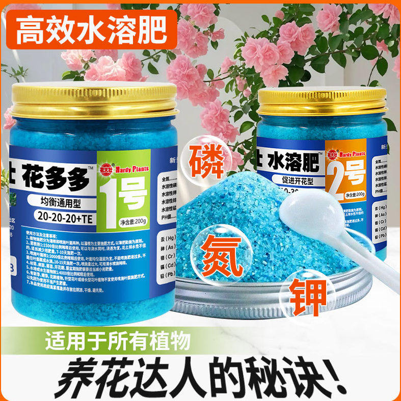 花大壮促花花卉月季绿植多肉家用微量元素栀子花花多多花多多2号图片