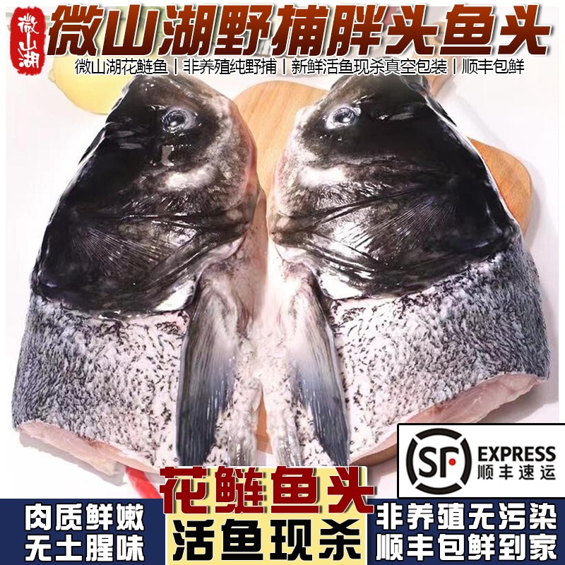微山湖新鲜现杀花鲢鱼头胖头鱼头剁椒鱼头大头鱼煲汤食材鲢鳙顺丰