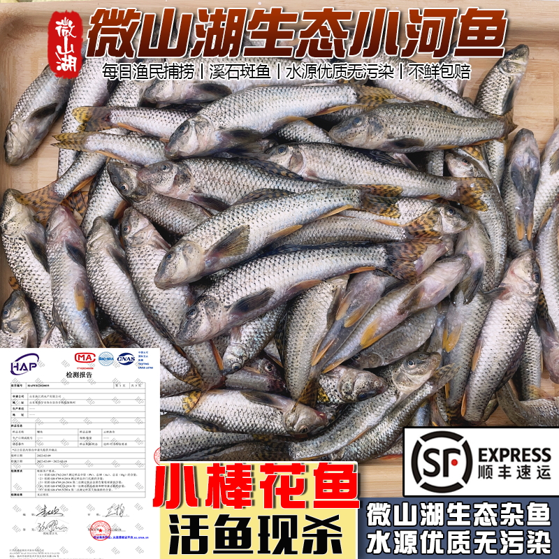 微山湖棒花鱼花骨鱼河鱼现杀顺丰