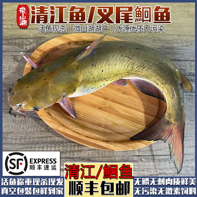 顺丰微山湖新鲜活鱼现杀清江鱼叉尾鮰鱼江团酸菜鱼烤鱼鲶鱼发顺丰 水产肉类/新鲜蔬果/熟食 淡水鱼类 原图主图