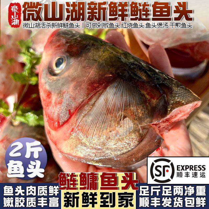 微山湖新鲜鲢鱼头宰杀花鲢大鱼头饭店商用剁椒鱼头食材白鲢鱼鲢鳙