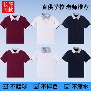 男女儿童POLO衫 中小学生夏装 T恤 英伦风校服夏季 园服翻领上衣 短袖