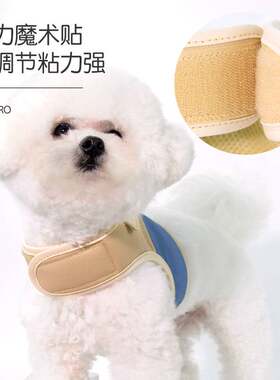 现货子辰狗狗猫咪牵引绳背心式小型犬比熊胸背带泰迪遛猫绳亚马逊