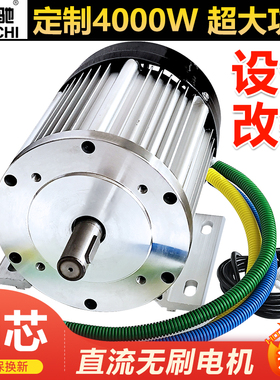 电动机直流无刷电机60V4000W5000W大功率清洗机油泵设备改装马达
