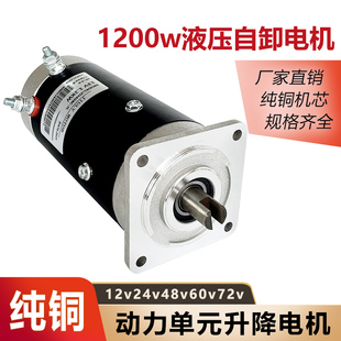 电动燃油三轮车液压油泵自卸动力单元电机小金刚电机12v24v60v72v