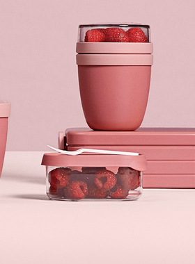 Mepal荷兰进口便携式水果盒保鲜盒上班族学生专用便当盒带水果叉