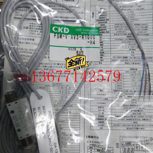 议价FSM-V-AV3-R1000-H4 气休流量计