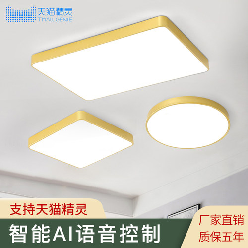 金色LED客厅卧室灯吸顶灯敢艺