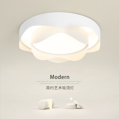 2024新款异形LED吸顶灯现代简约主卧室房间饭厅创意个性艺术灯具