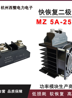160A 200A快速续流二极管MZ30A.58 MZ160.71防反充5A50A 100A400V