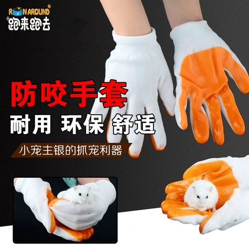 Анти -битные перчатки и хомяк должны иметь ежедневные потребности