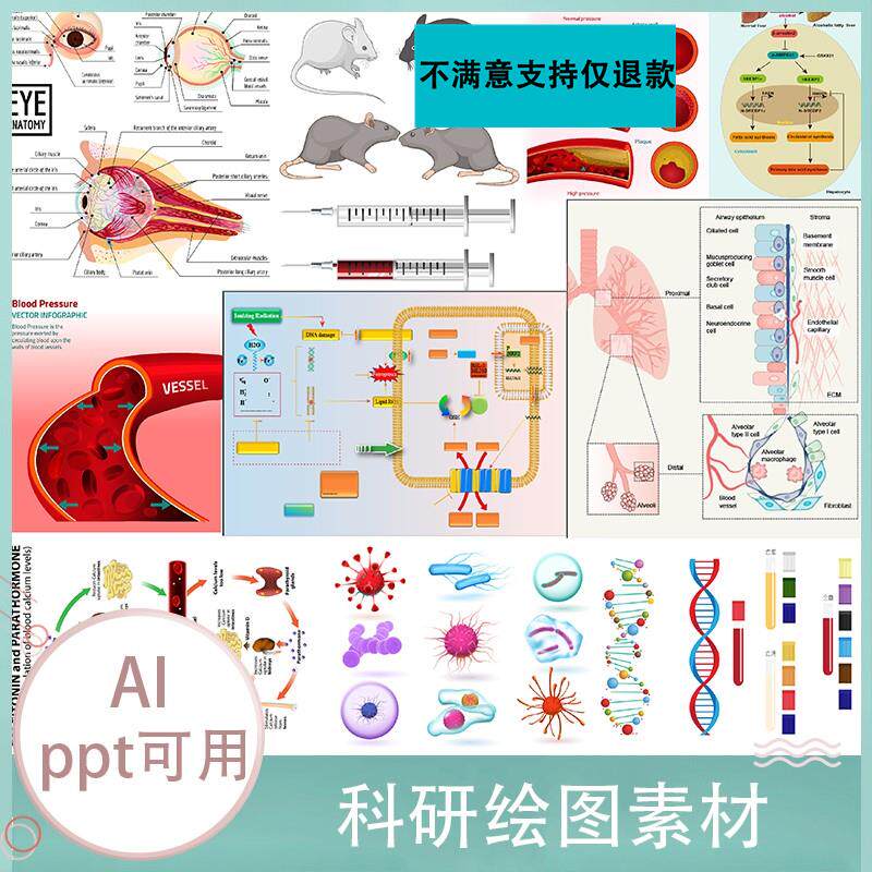 ai模板科研绘图素材ppt医学插画器官细胞流程图片png生物作图资料