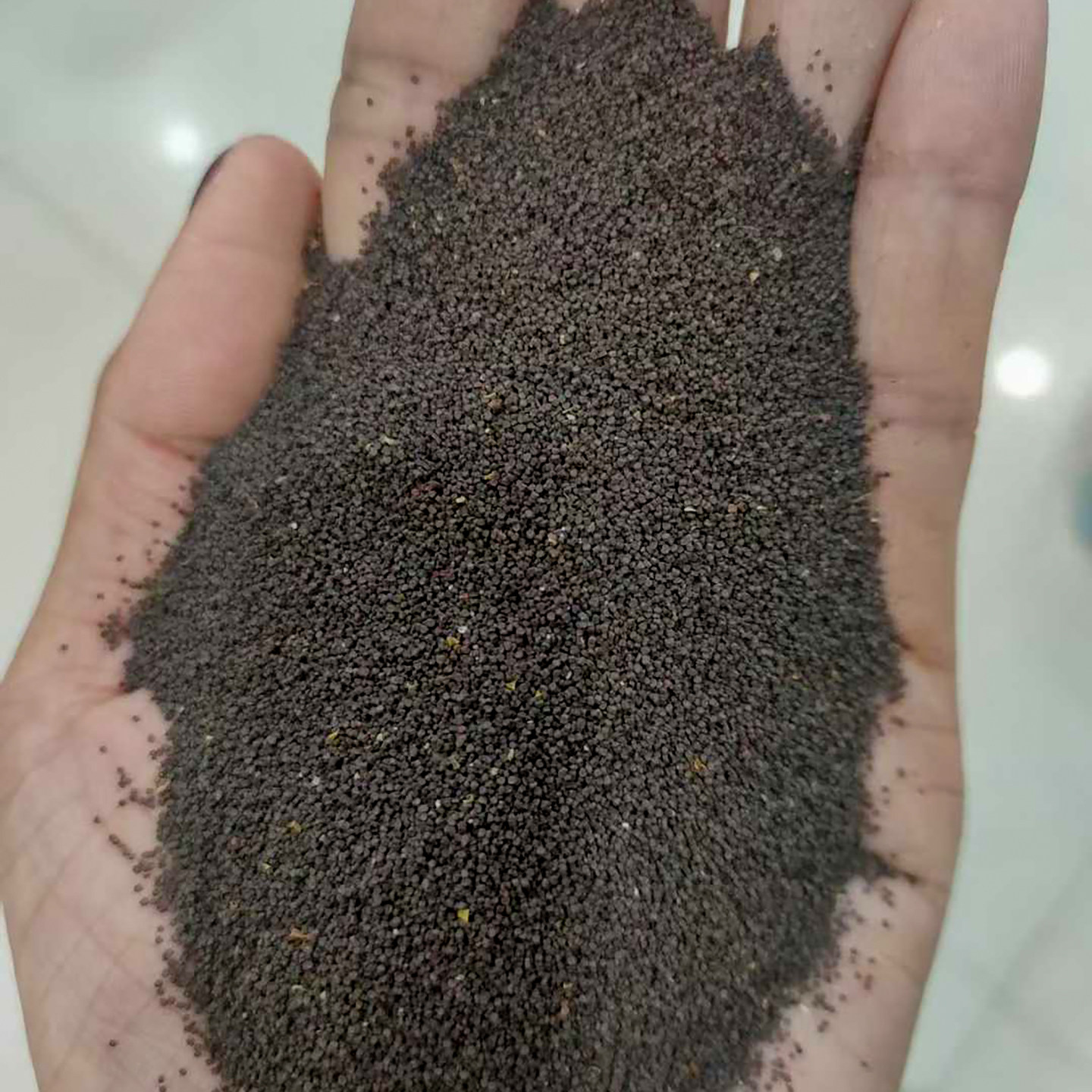 高雪轮种子高雪伦种籽大蔓樱草美人草蝇子草花籽花种