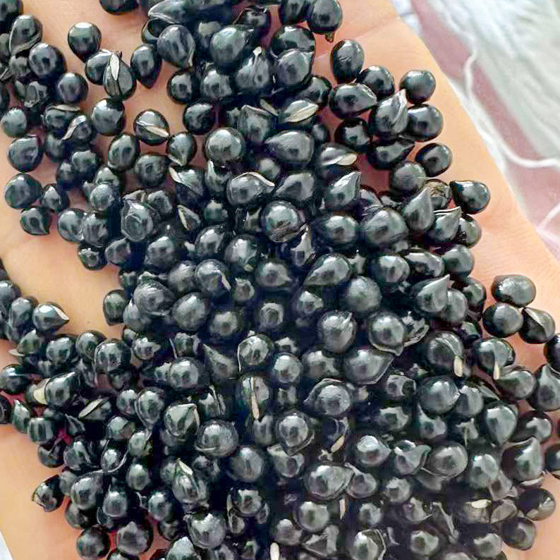 白鲜皮种子八股牛山牡丹白膻种籽草种子3