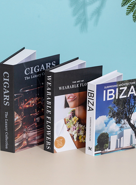 简约可打开装饰道具假书仿真书本