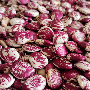 桂东花豆祛湿肾豆神豆福豆煲汤馅料熬粥农家自种湖南特产郴州土货