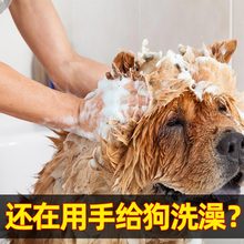 狗狗洗澡神器去浮毛手套刷子猫咪按摩防抓咬洗澡工具宠物清洁用品
