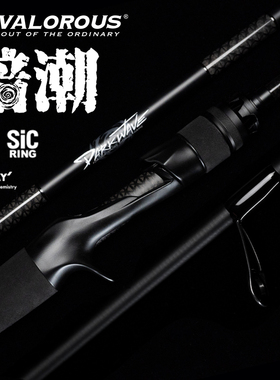 Valorous万路仕暗潮DARKWAVE路亚竿远投竿多硬度淡海水通用钓鱼竿