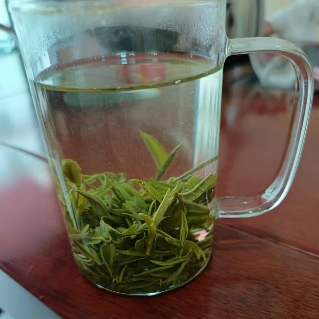 陕西商南明前毛尖50克口粮茶高山绿茶2024新茶产地直发好口感好