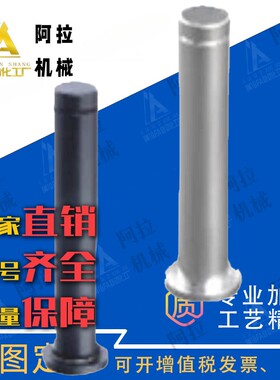 SHCDG3/4/5/6/8/10-10/12/14/15/16/18/20/22/24/25/30/35铰链销