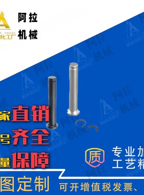 SHCDG3/4/5/6/8/10/12-10/12/14/15/16/18/20/22/25/30/35铰链销