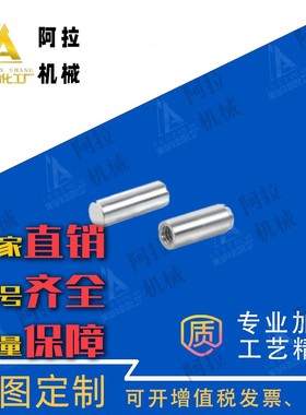 BLW81/82/83-h7-D1/2/3/4/5/6/8-L5/6/8/10/12/15/20/25/30定位销