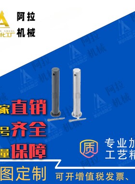 HCMG/HCMGH3/4/5/6/8/10/12-10/12/14/15/16/18/20/22/24铰链销