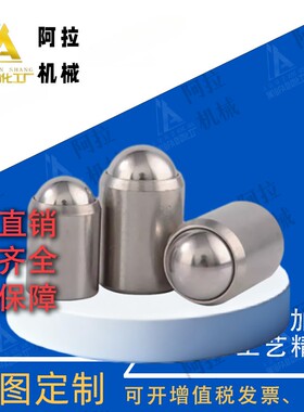 PFSSN/PFSSR/PFPSN/PFPPN 2/3/4/5/6/8/10 压入式球头柱塞