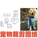 萌宠狗狗纸样设计60金毛拉布中大型犬四脚服DIY1 1样版 裁剪缝纫图