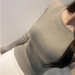性感显胸大紧身长袖针织衫女秋冬新款气质圆领显瘦百搭打底衫上衣