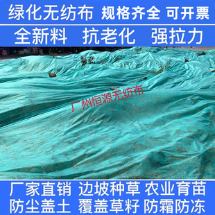 绿色无纺布绿化透气膜园林工地防尘盖土布草坪护坡边坡植草无纺布