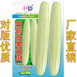 白筋水果白瓜种子丰产早熟肉质细密脆嫩春秋季农家菜园蔬菜种籽孑