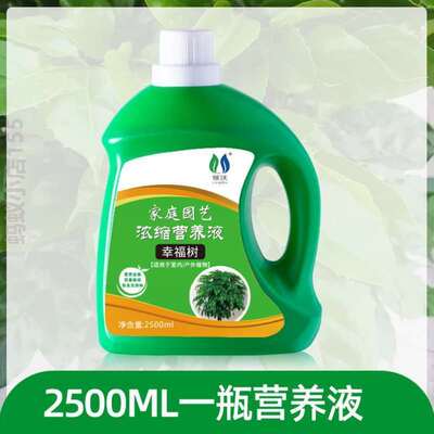 叶子急救掉植治通用专用肥水培叶烂根培植水绿[发黄栽培营养花草