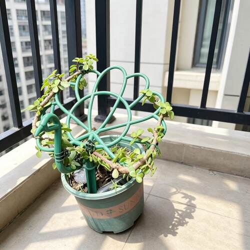 孔雀造型花架多层支撑杆