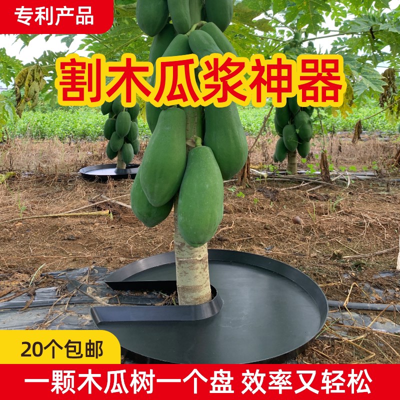 热销割木瓜浆专用盘割木瓜浆神器塑料盆胶盆