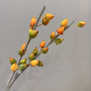 仿真五代同堂黄金果马奶果福禄果糖棉果泡泡果假果枝插花造景摆件