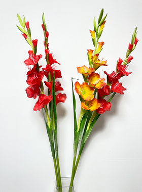 仿真花大剑兰昌兰花白色黄色粉色节节高长枝花长杆花高端假花造景