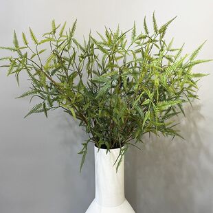 北欧仿真芒萁蕨单支叶材软装插花细线条竹叶波斯草家居装饰