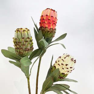 仿真帝王花南非公主洋蓟花南非班克木仿真花软装艺术插花橱窗摆件