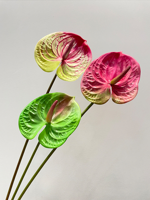 花烛火鹤花红掌安祖花 现代简约家居样板间酒店婚庆装饰假花造景