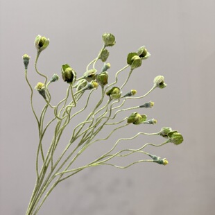 植毛虞美人罂粟花苞花骨朵仿真花 艺术插花花材 婚庆摄影道具装饰