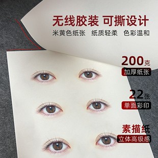 纹绣眉毛练习册彩妆真人眼部图纸上设计眉形型野生眉眼影线练习本