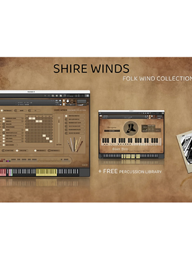 6种民间木管乐器 Insanity Samples Shire Winds v1.5.0 KONTAKT