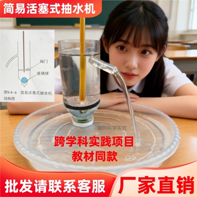 简易活塞式抽水机跨学科实践项目